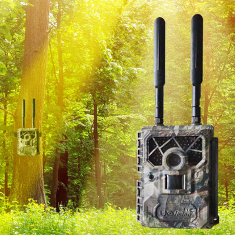 让林业更科学和环保——介绍林业打猎相机
